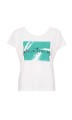 azaleia 041.jpeg